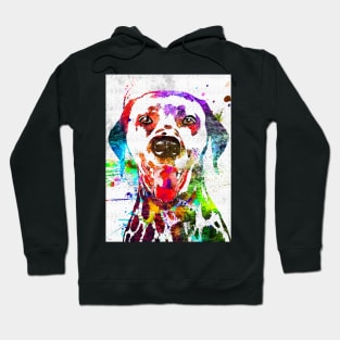 Dalmatian Grunge Hoodie